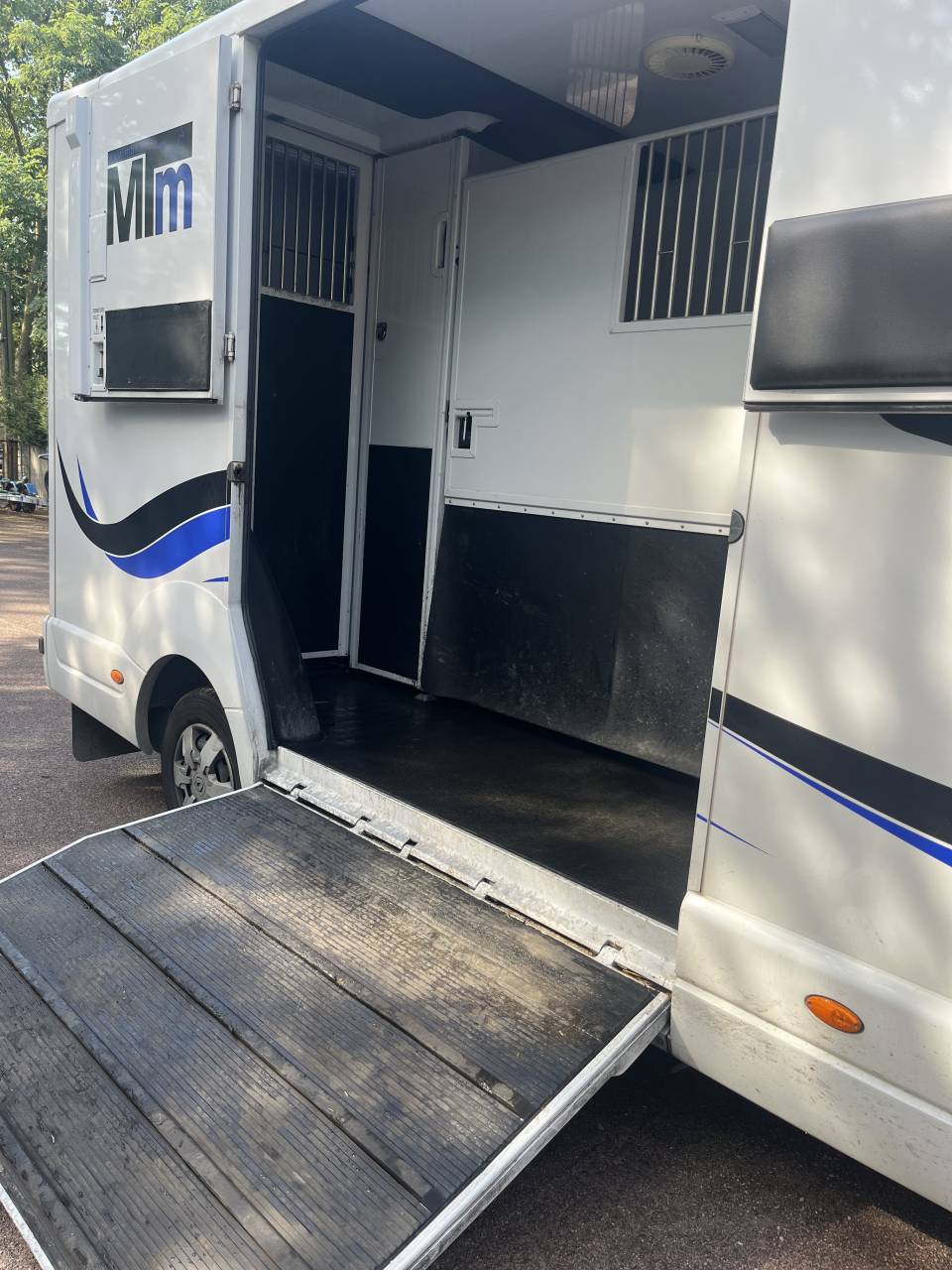 camion chevaux master renault mtm