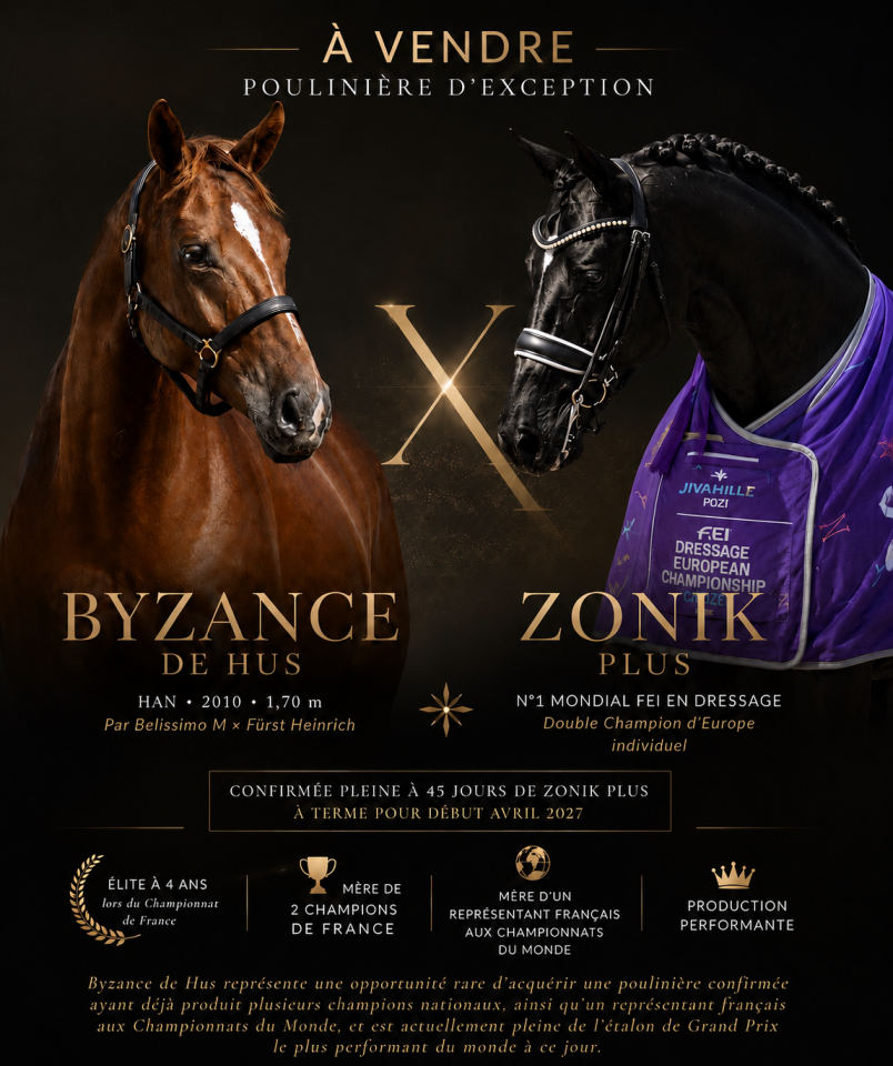 Poulini&egrave;re d&rsquo;exception pleine de Zonik Plus 