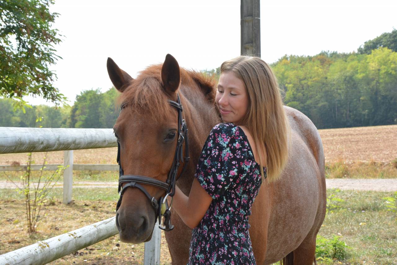 Poney fran&ccedil;ais de selle