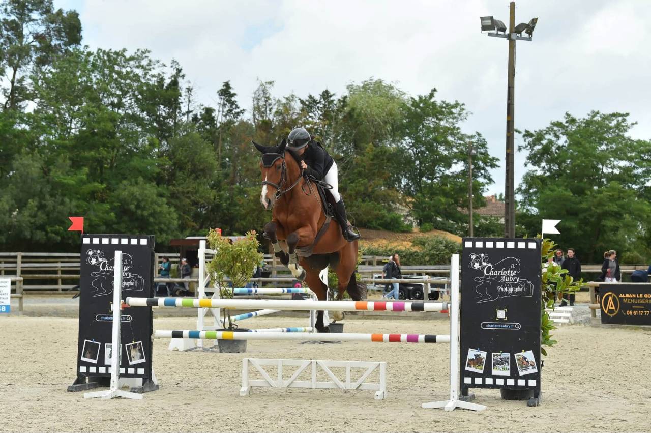Cheval de sport avec moyens