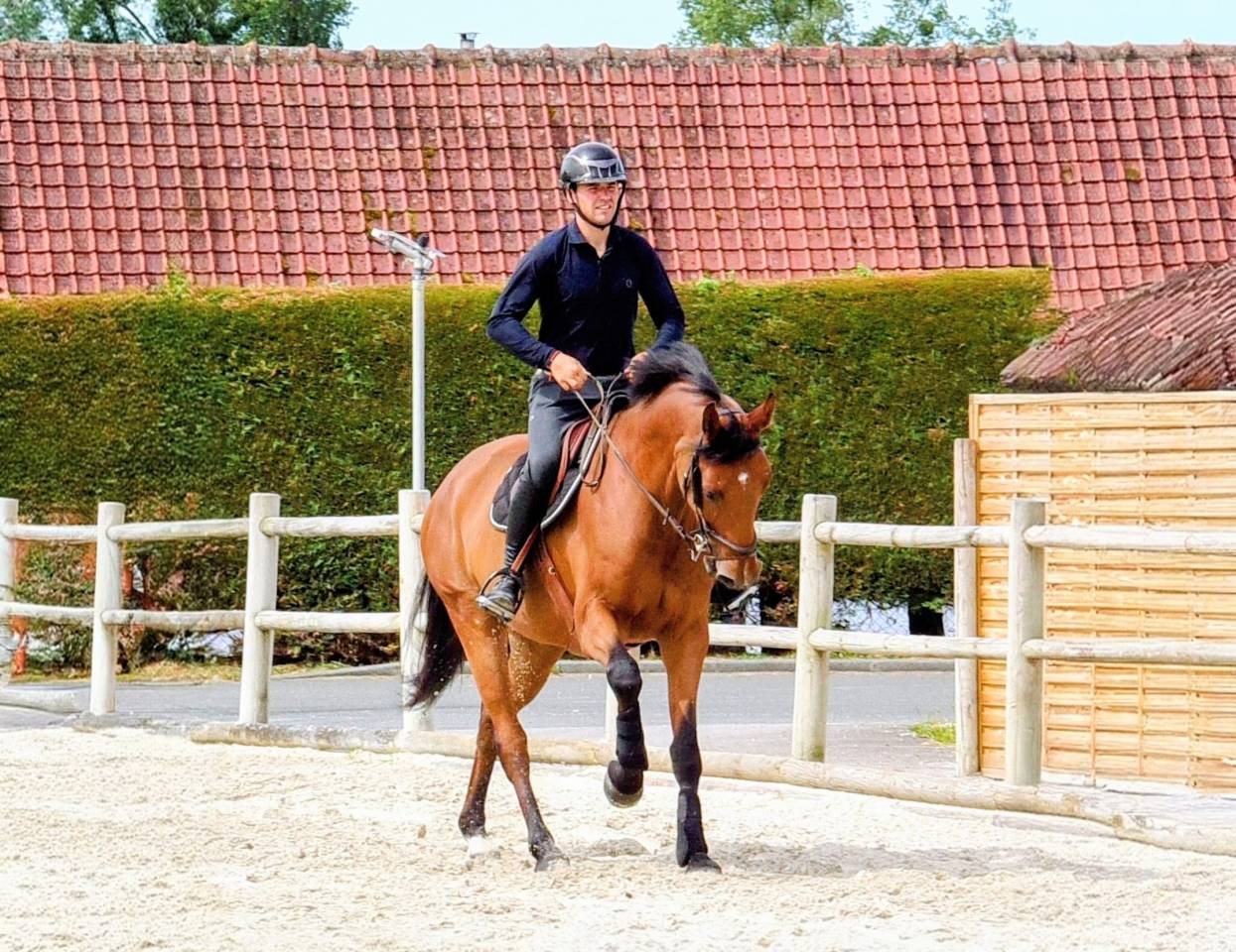 Futur cheval de GP - pr&ecirc;t 1.25m