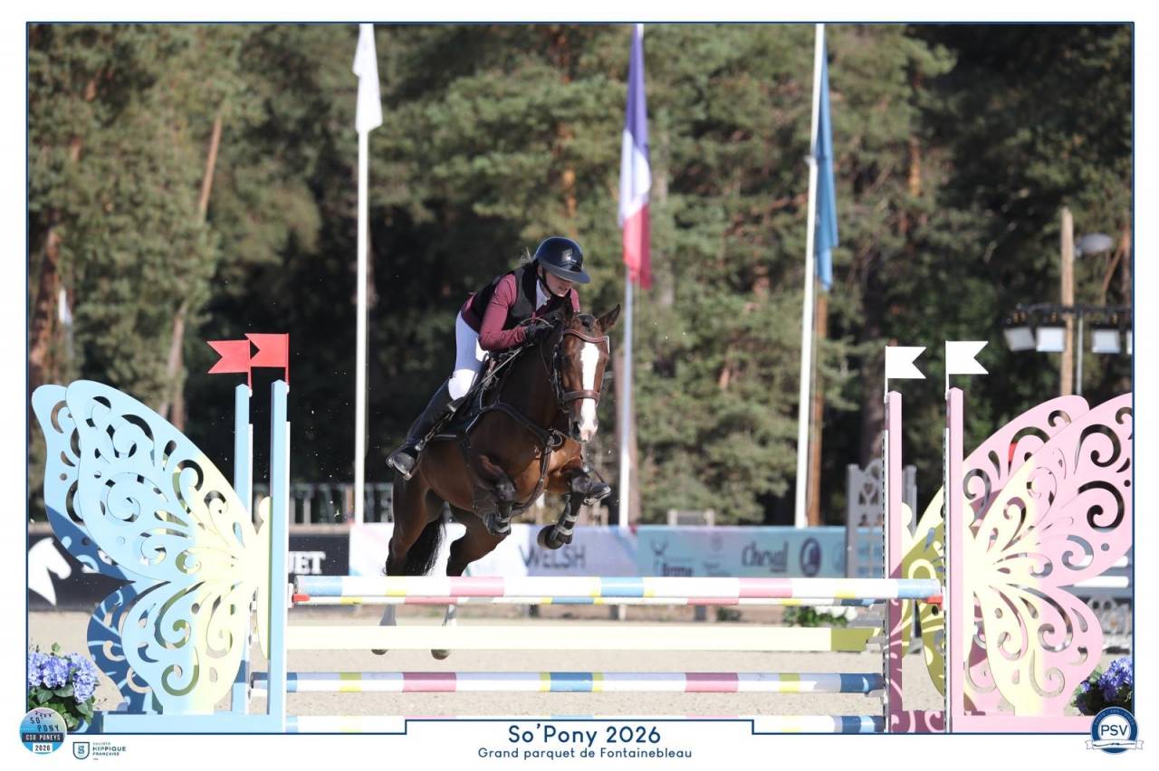 Ponette PFS sport CSO