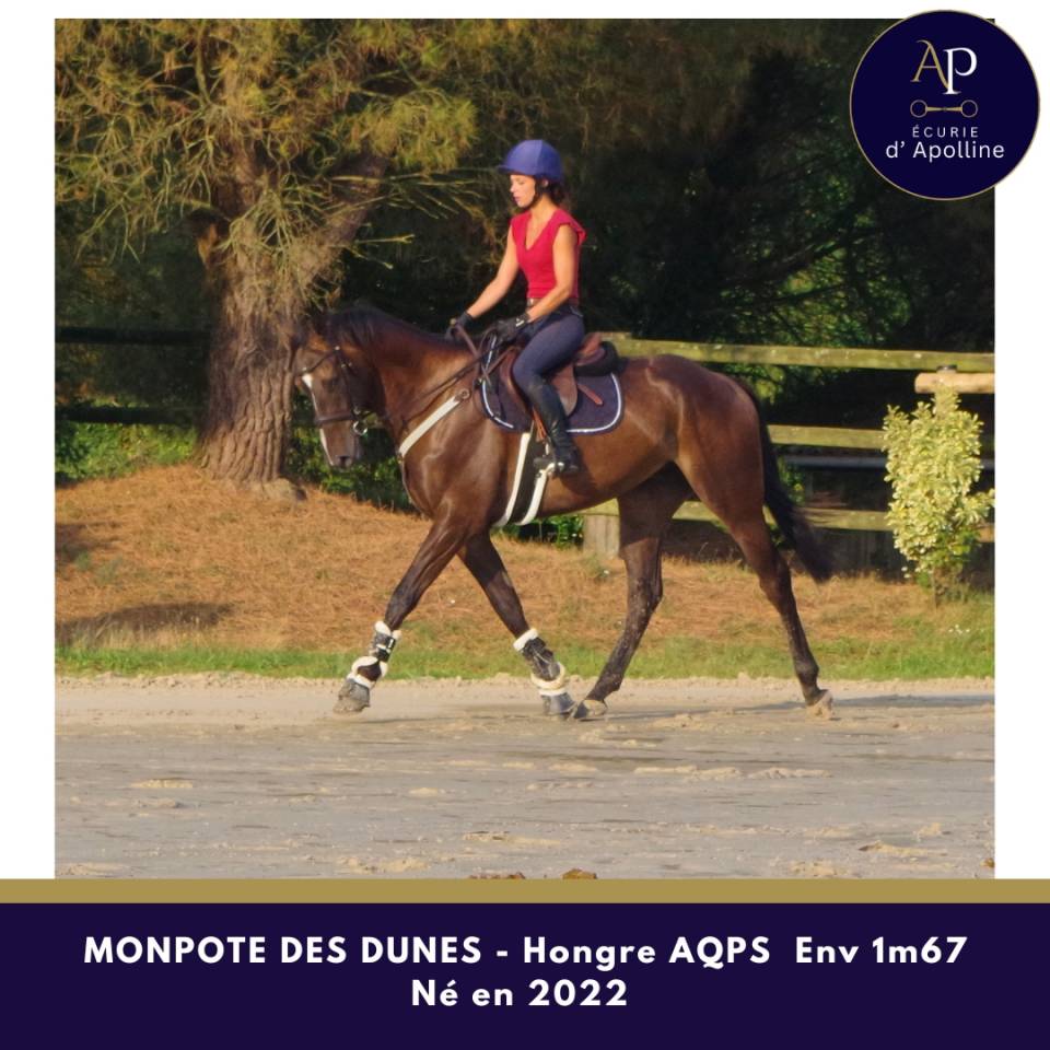 Top AQPS env 1m70 4 ans 
