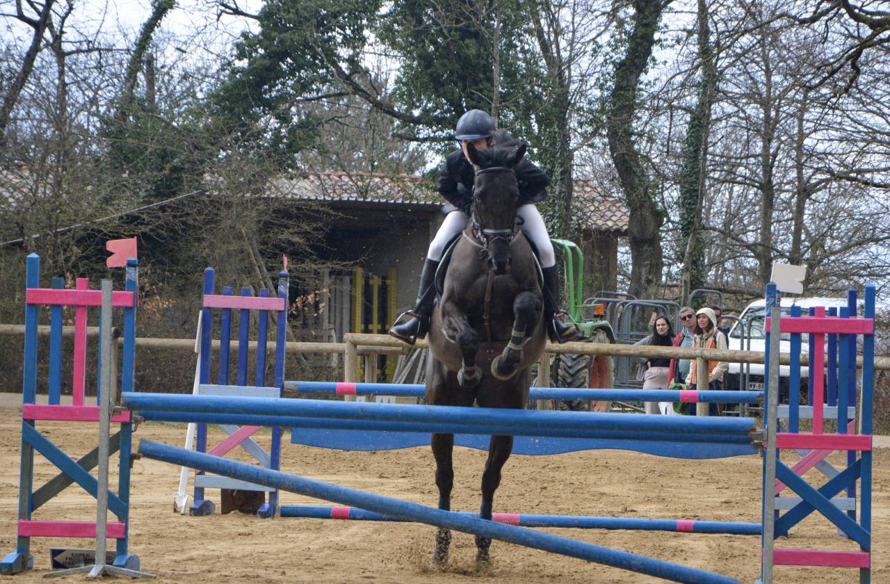 Cheval &agrave; vendre sorti en Complet, CSO 
