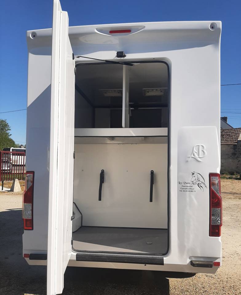 Renault Master transport chevaux