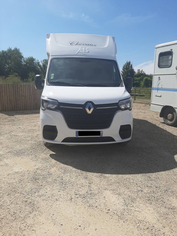 Renault Master transport chevaux