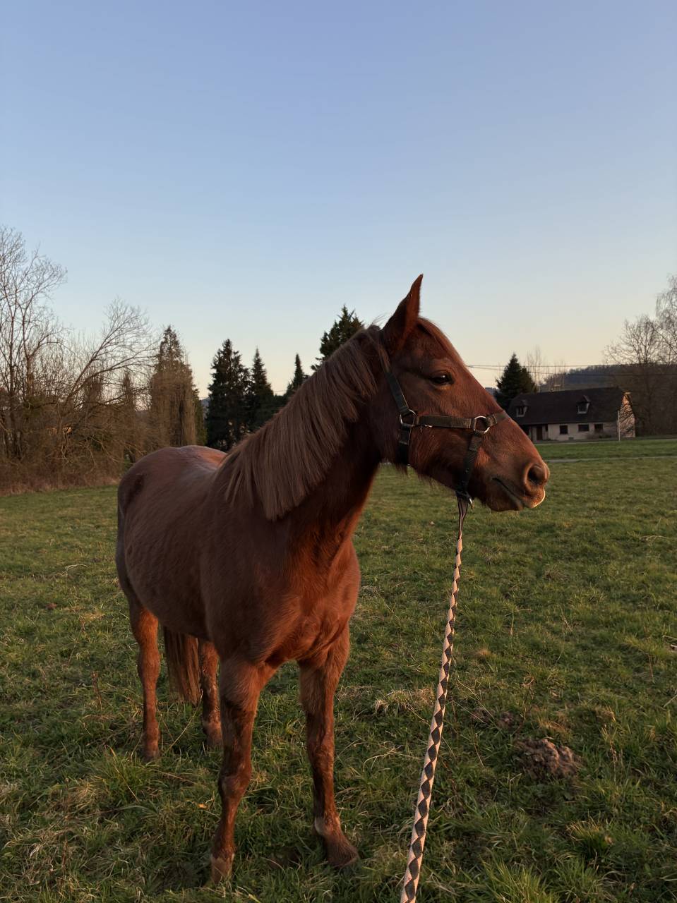&Agrave; vendre Joran 