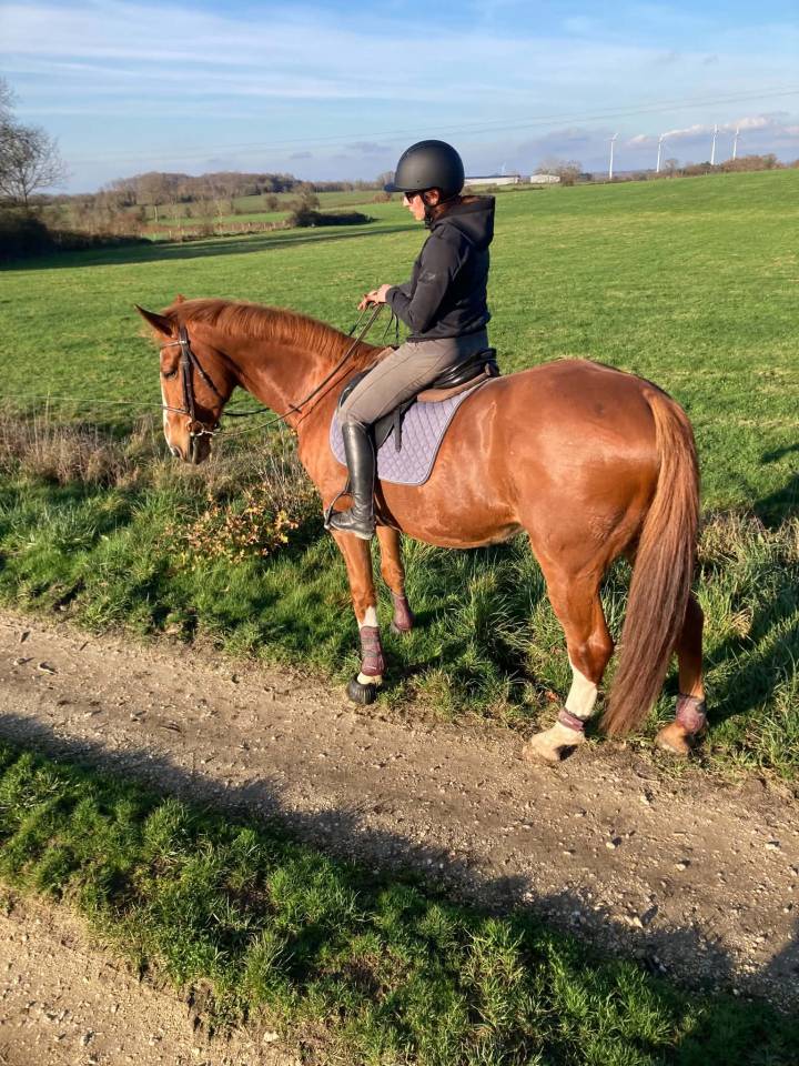 Cheval de loisir SF