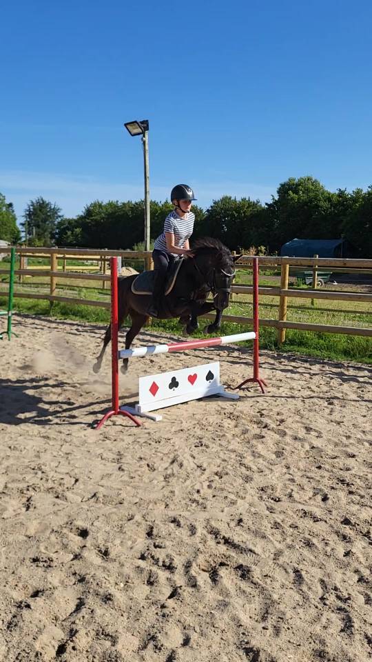 Poney B