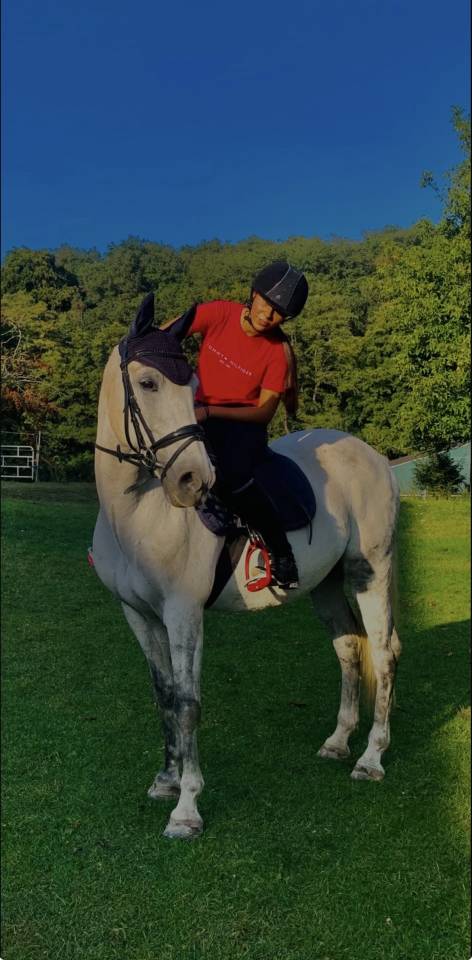 Alvarez &ndash; Hongre polyvalent de 12 ans &ndash; &Agrave; vendre ou dem