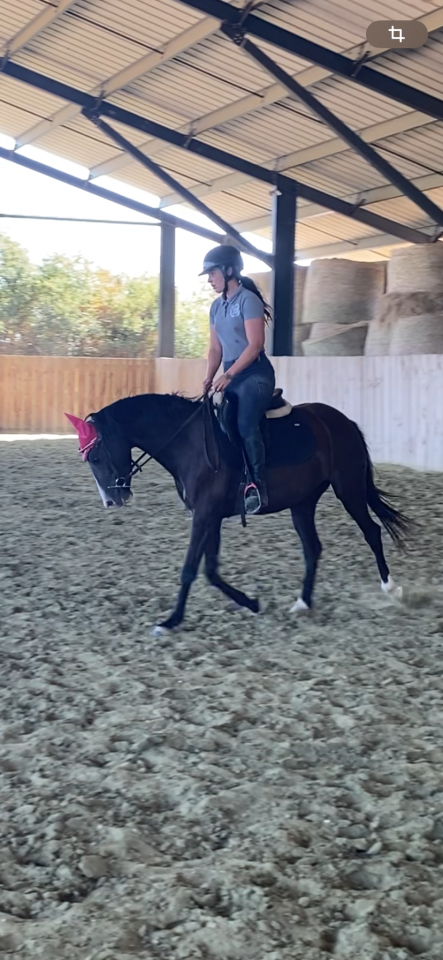 Ponette Welsh PP 