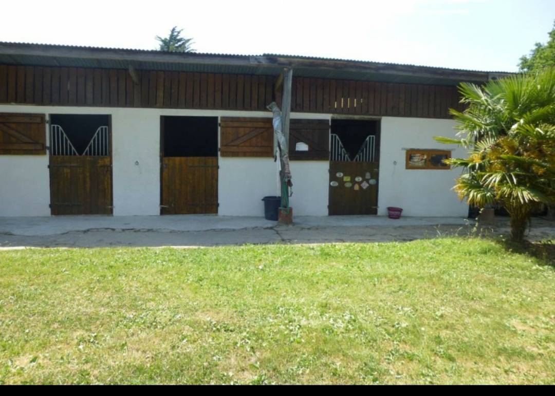 Pensions chevaux avec installations
