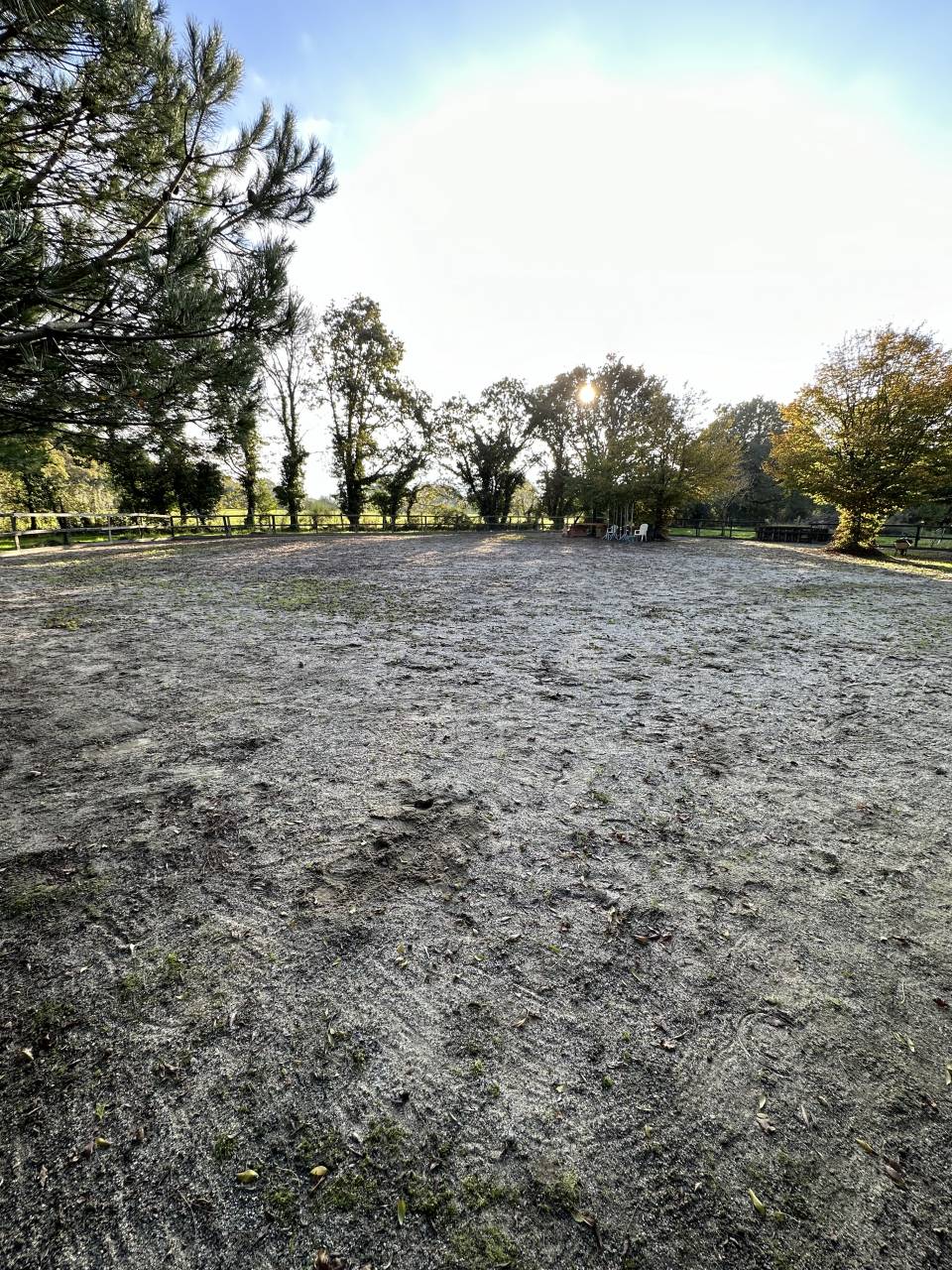 Pensions chevaux avec installations