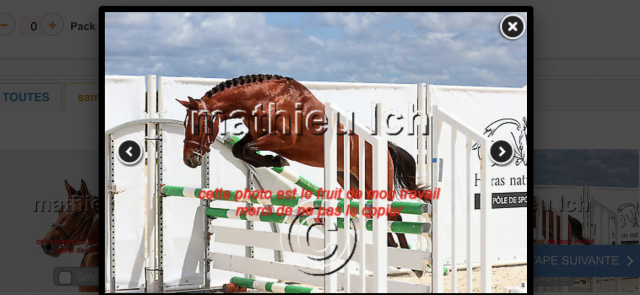 Hongre 4 ans D CSO