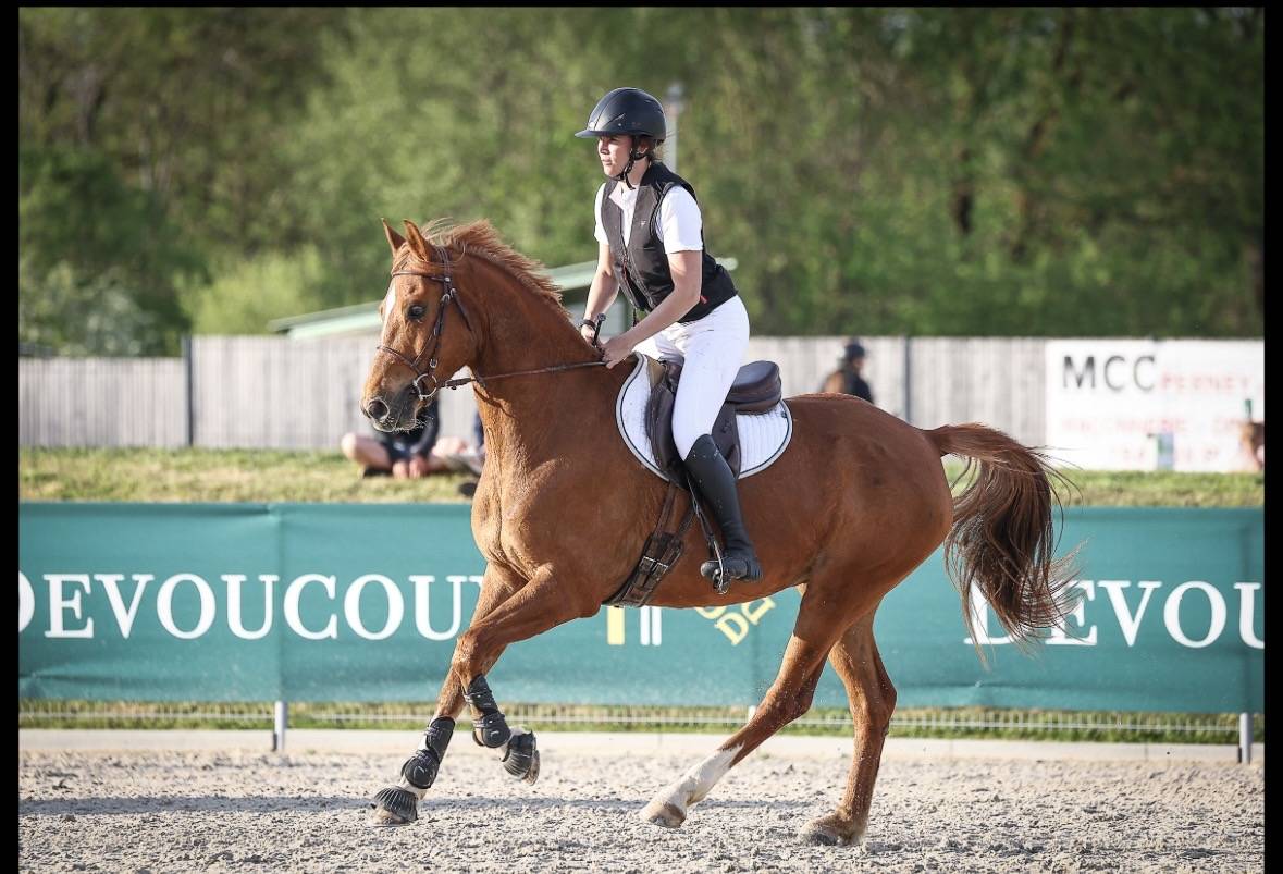 Hongre OC de 6ans, alezan, SF en Club 2 CSO et CCE