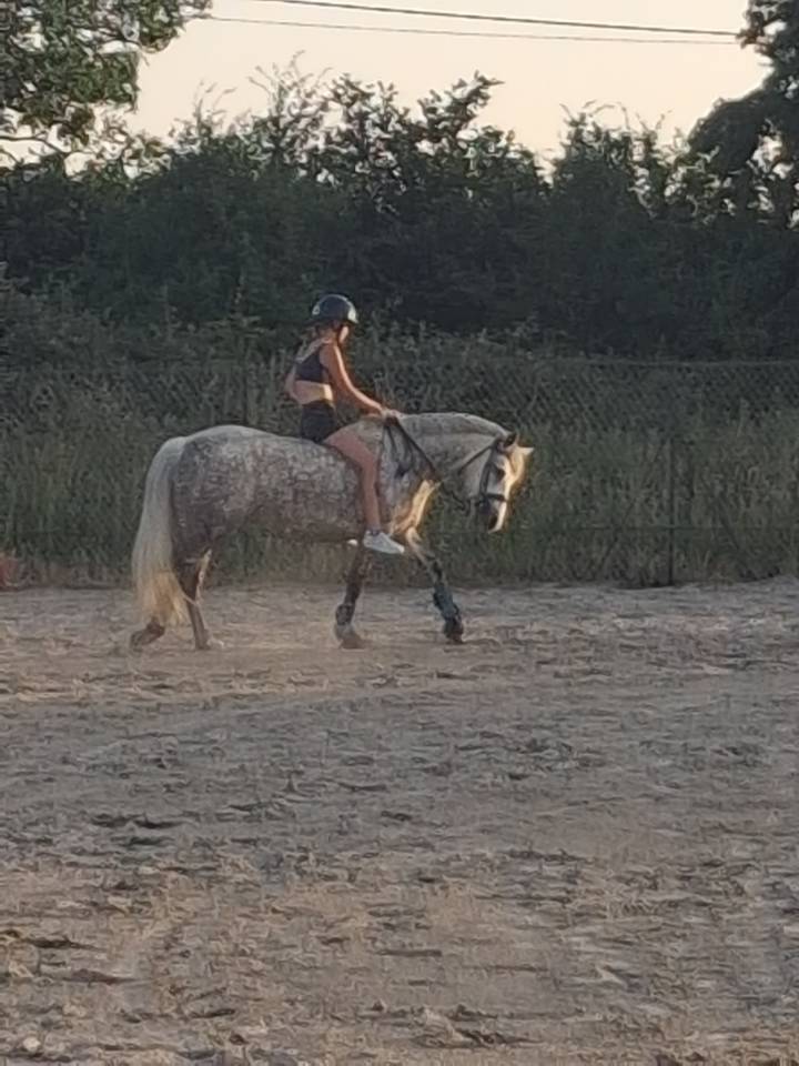 Ponette PFS de 8 ans