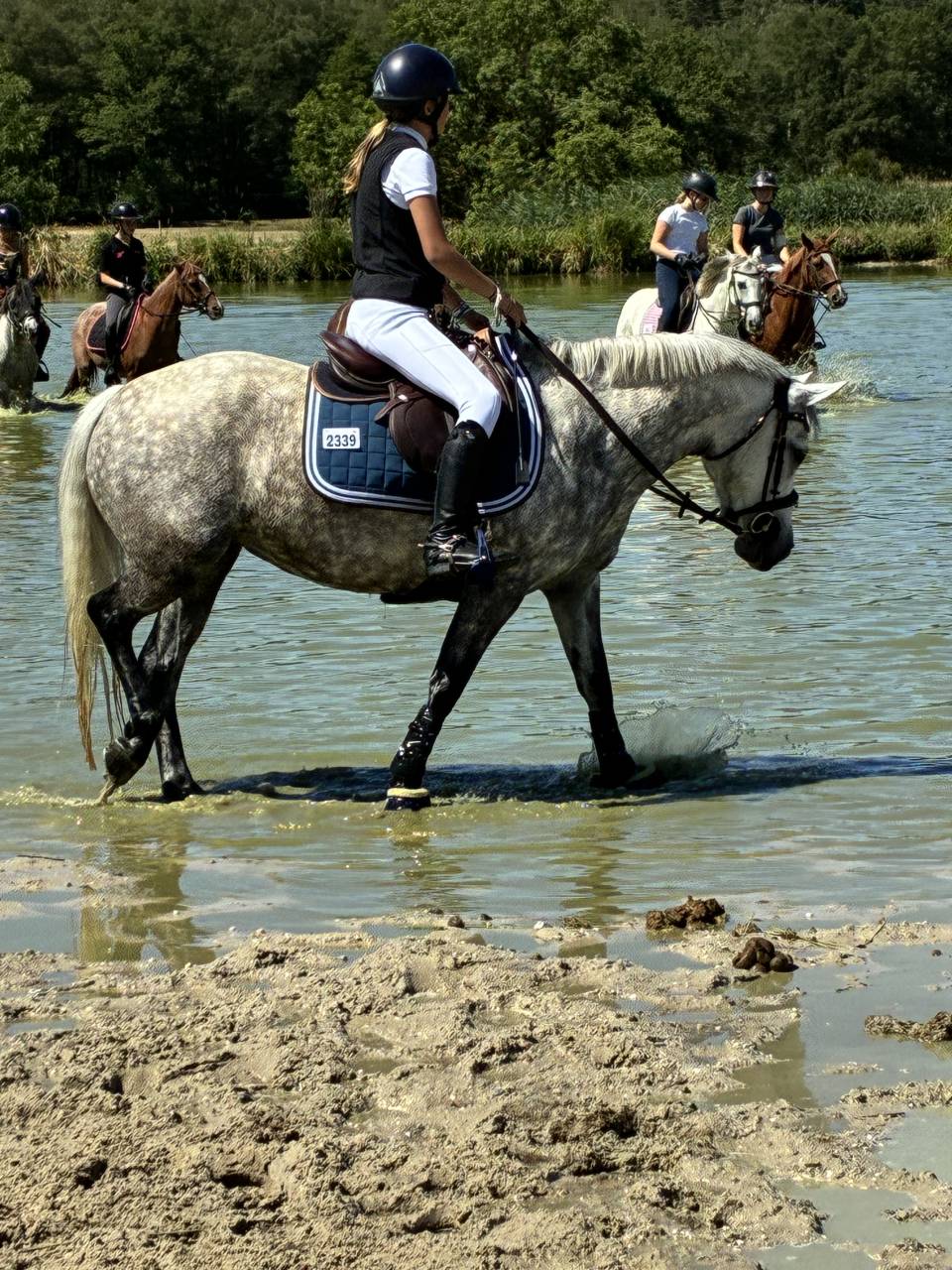 Ponette PFS de 8 ans