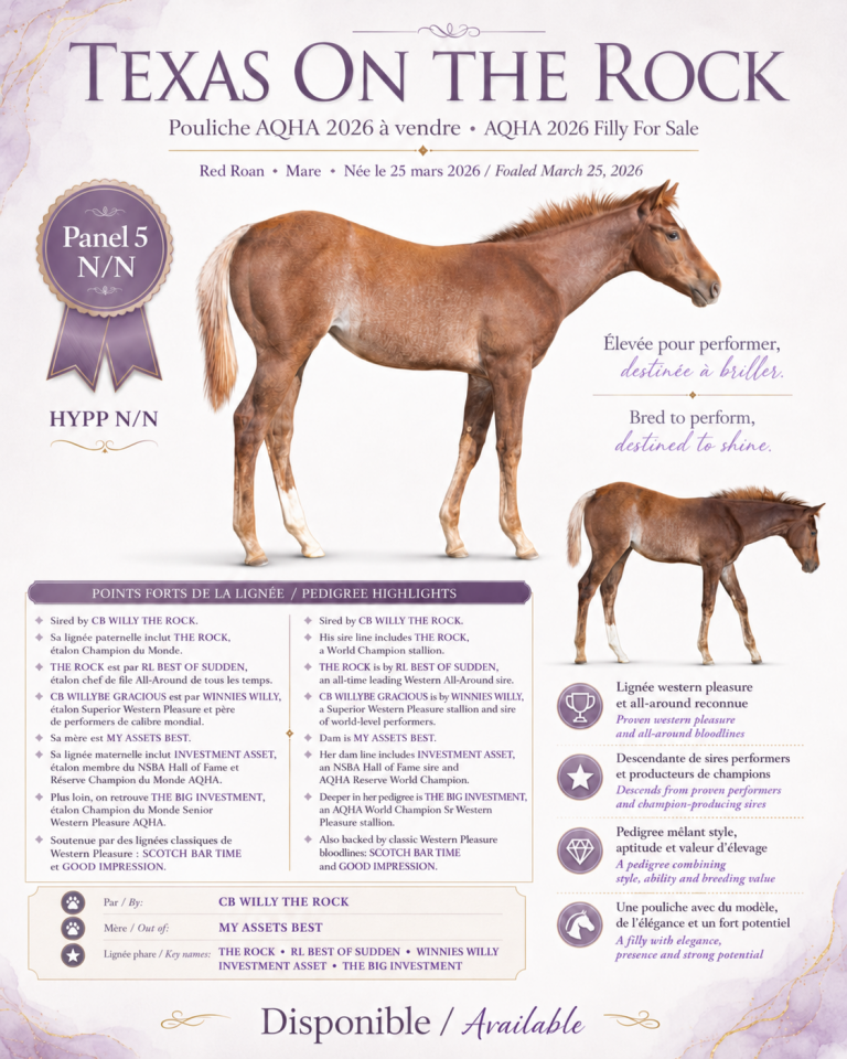 TEXAS ON THE ROCK - 2026 AQHA Sorrel Rouan Rabicano