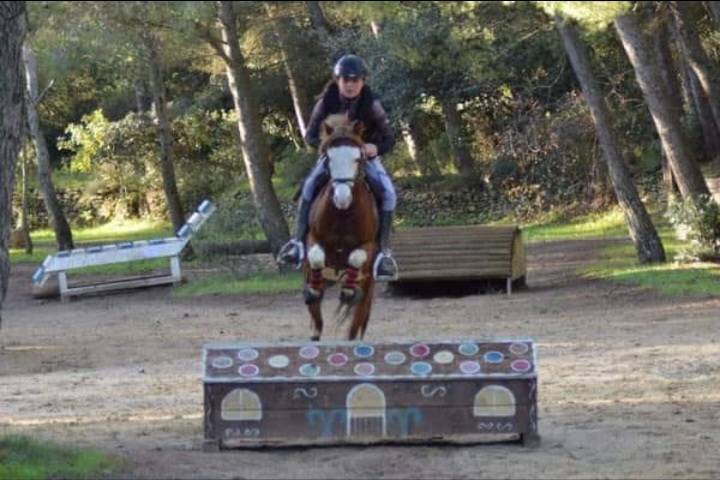 PONEY WELSH 