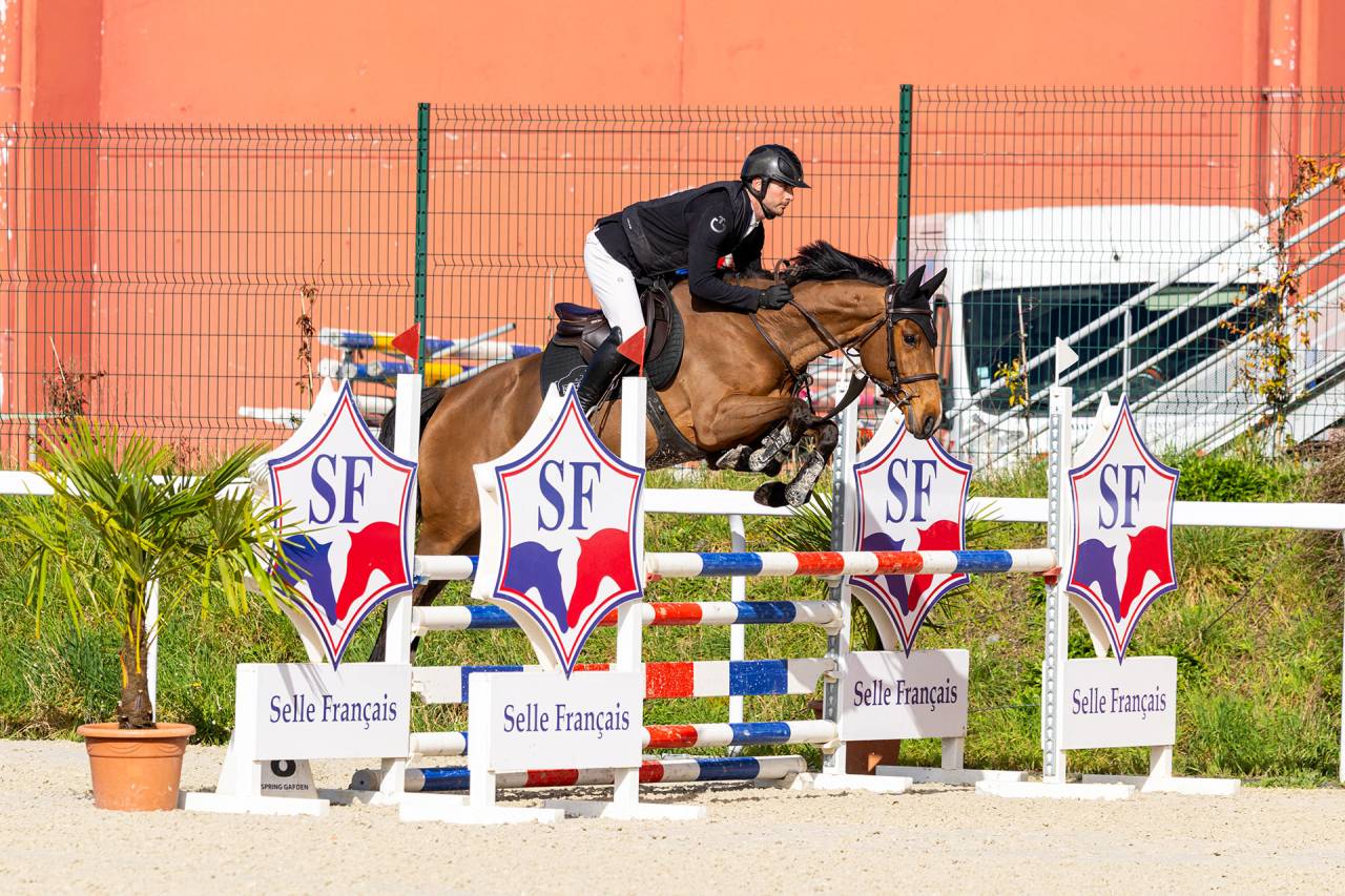 Jument 5 ans id&eacute;ale amateur 1 / &eacute;lite