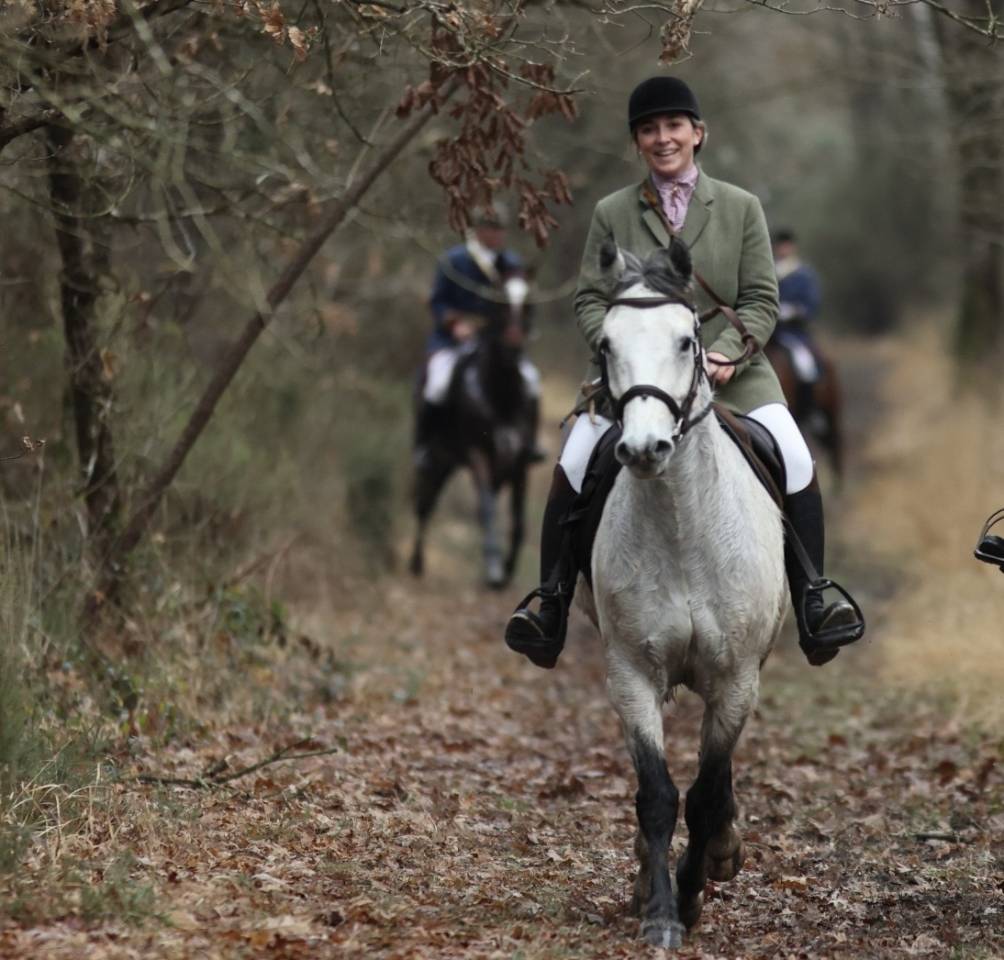 Poney connemara 