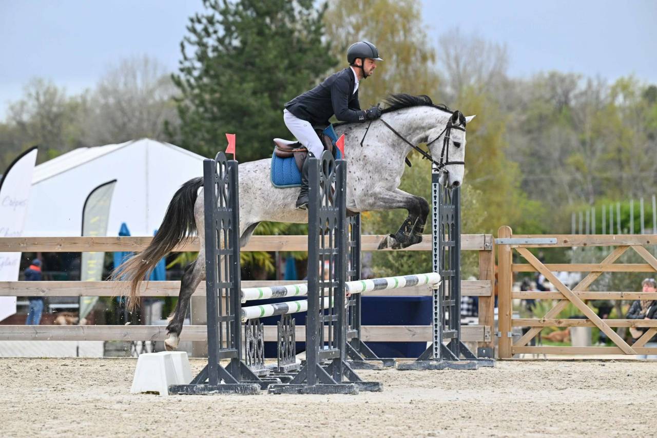 Poulini&egrave;re AA de 8 ans