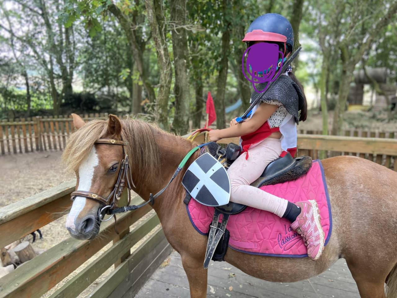 Ponette type Welsh