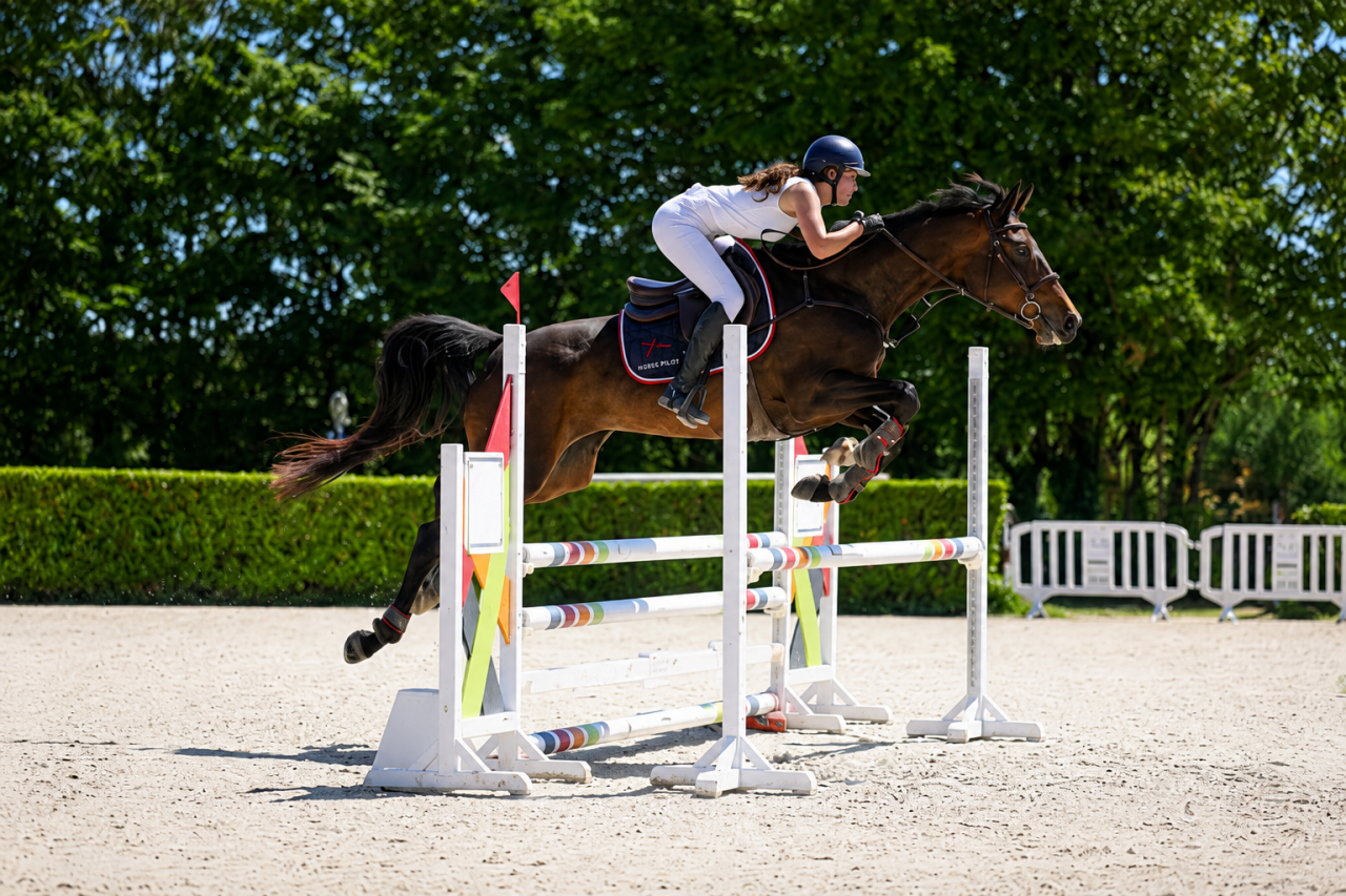 Jolie jument trotteuse !