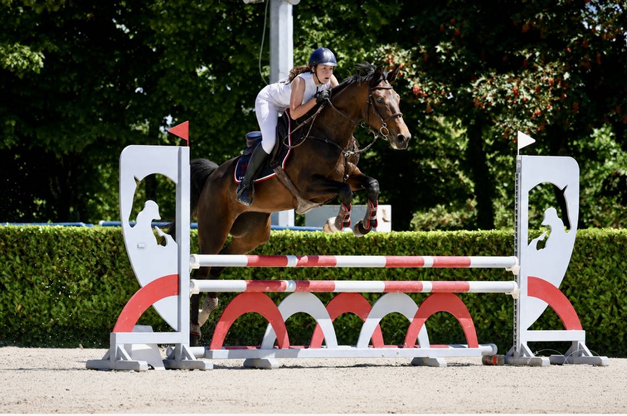 Jolie jument trotteuse !
