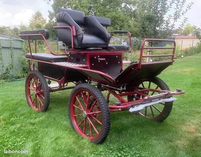 &Agrave; vendre : Rare paire de chevaux espagnols en attelage