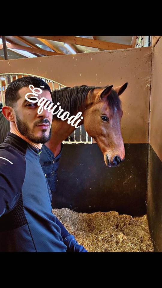 Sofien 37 ans Disponible pour poste de Palefrenier 