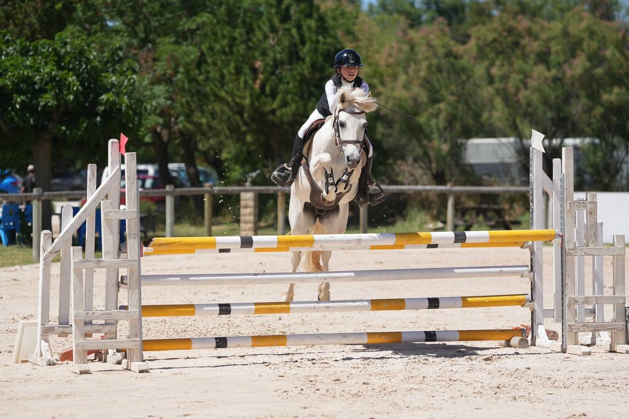 Ponette a louer