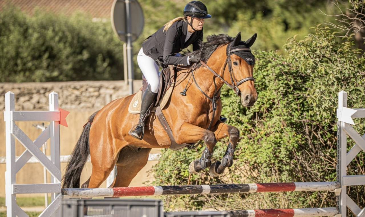 Crack hongre de 5 ans pour sauter de belles &eacute;preuves 