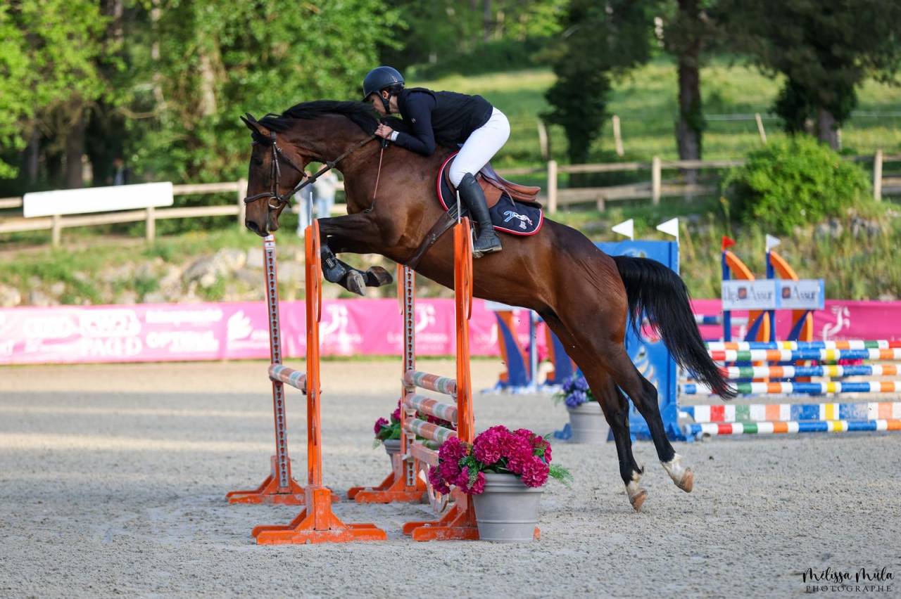 Jument 5 ans pour minimum cso amateur 