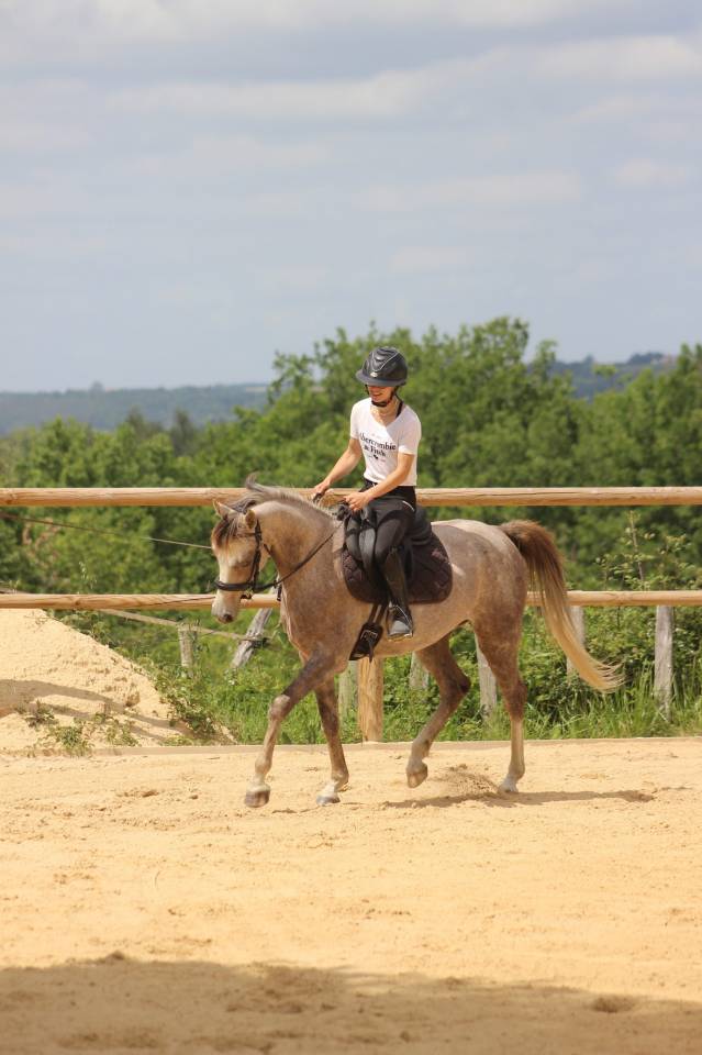 Poney de CSO, loisir 
