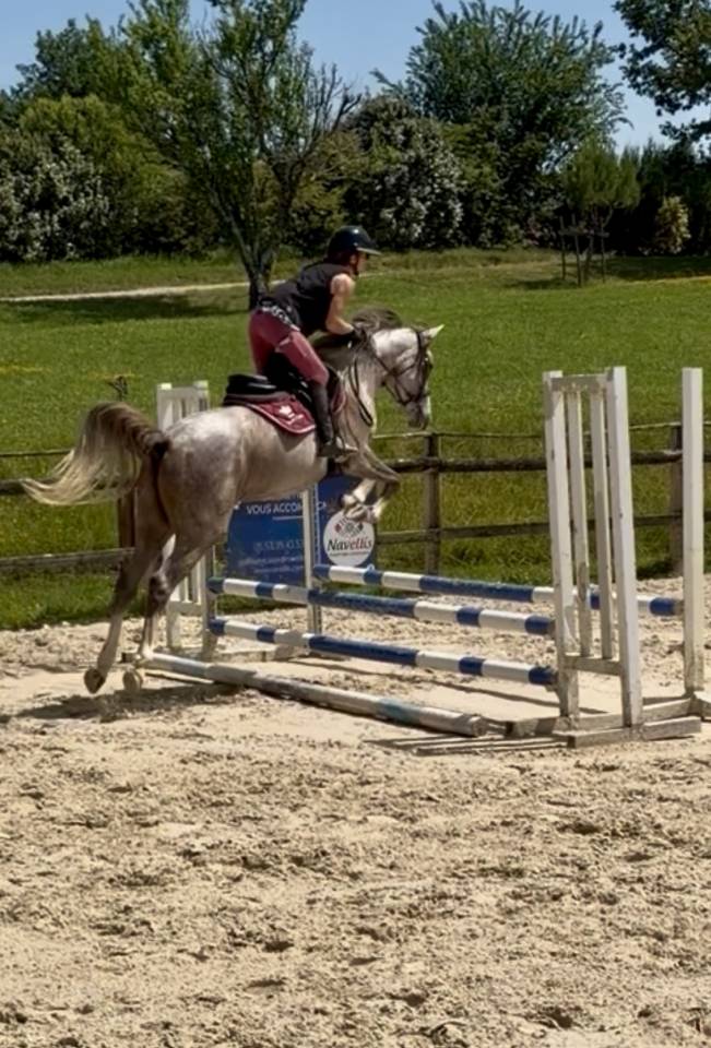 Poney de CSO, loisir 