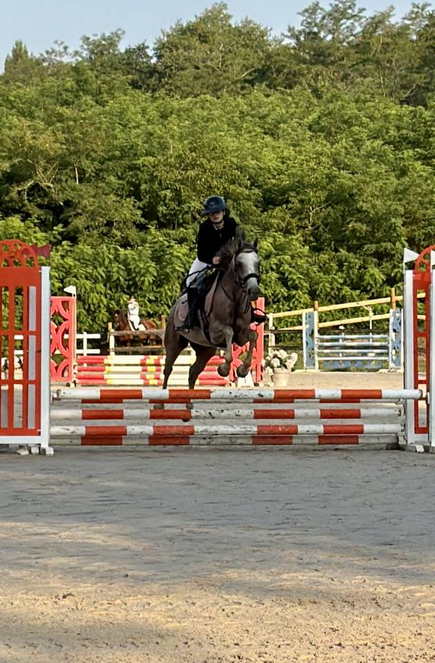 Poney de CSO, loisir 