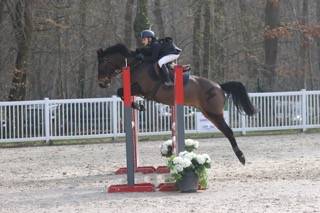 Poney de CSO 