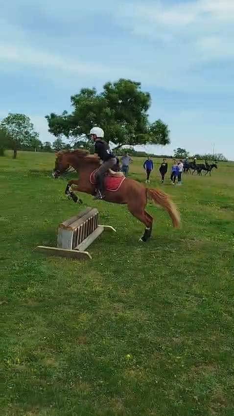 Super ponette pour super aventure