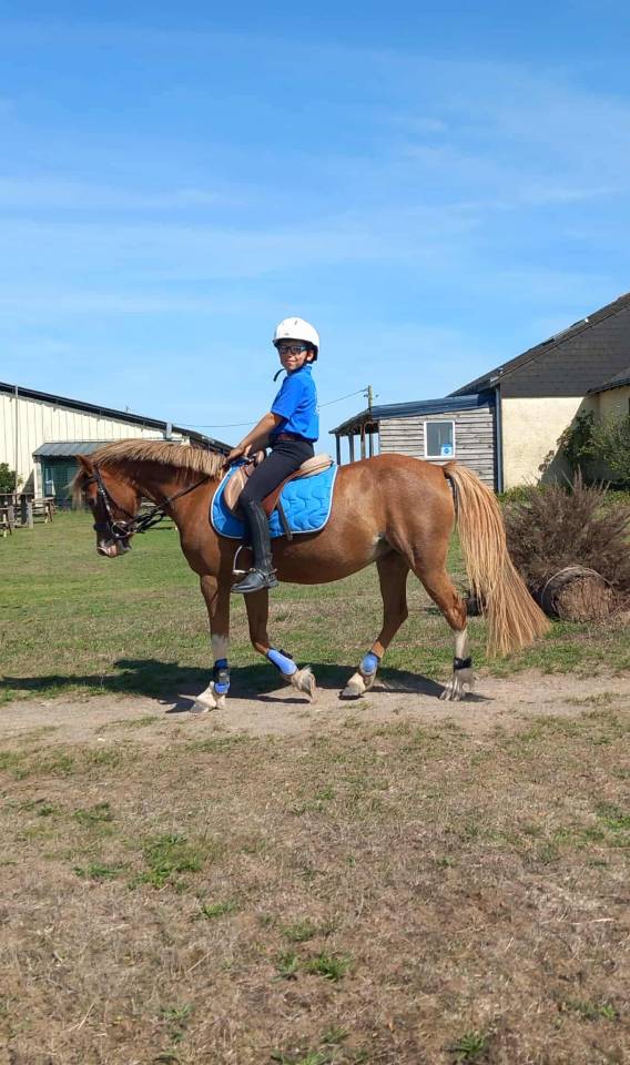 Super ponette pour super aventure