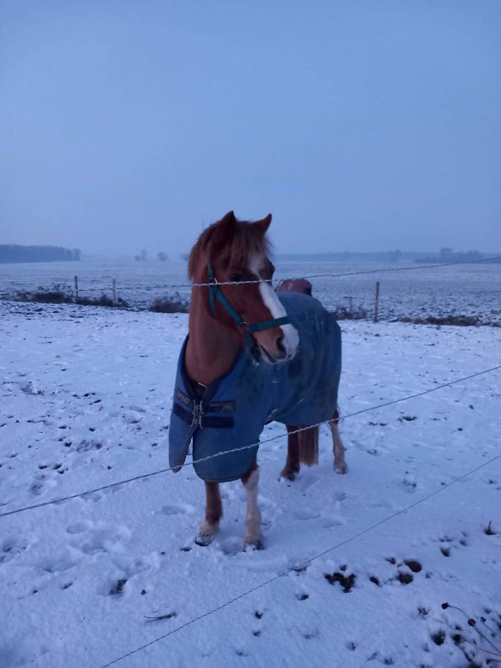 Super ponette pour super aventure