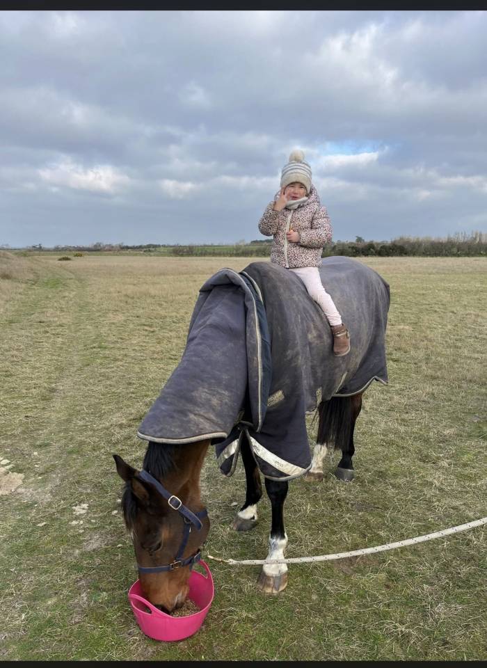 Cheval &agrave; vendre 