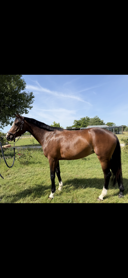 5 ans &agrave; vendre 