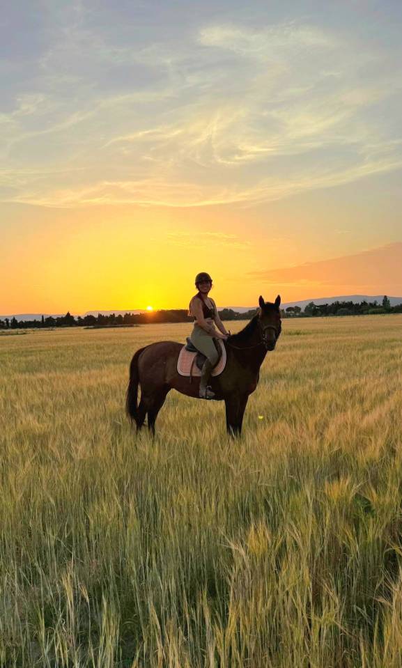 Cheval PP type sport