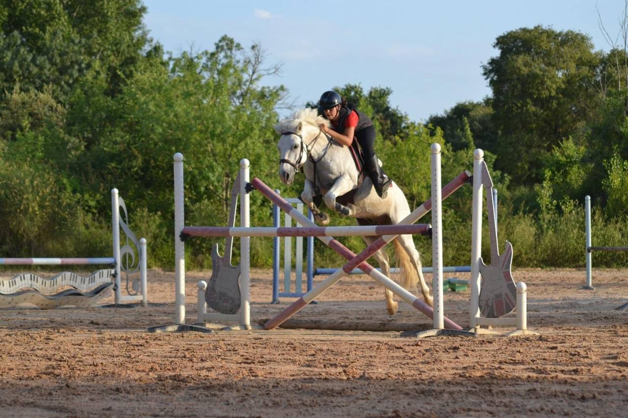 Location poney CSO 