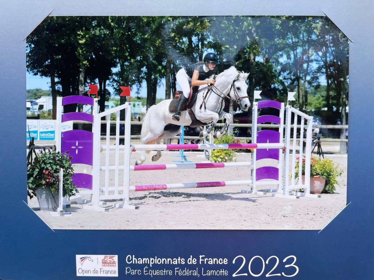 Location poney CSO 