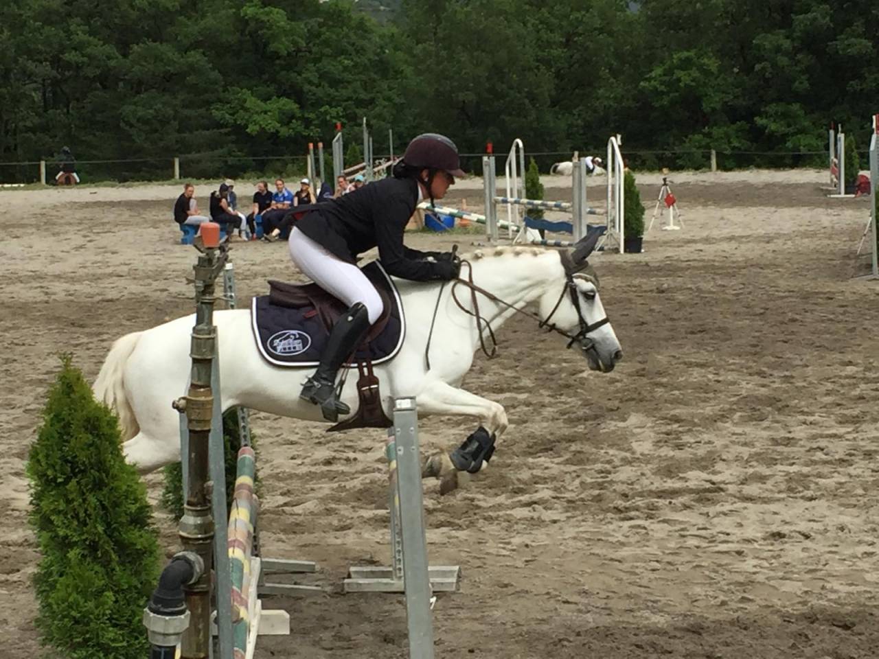Ponette PFS 