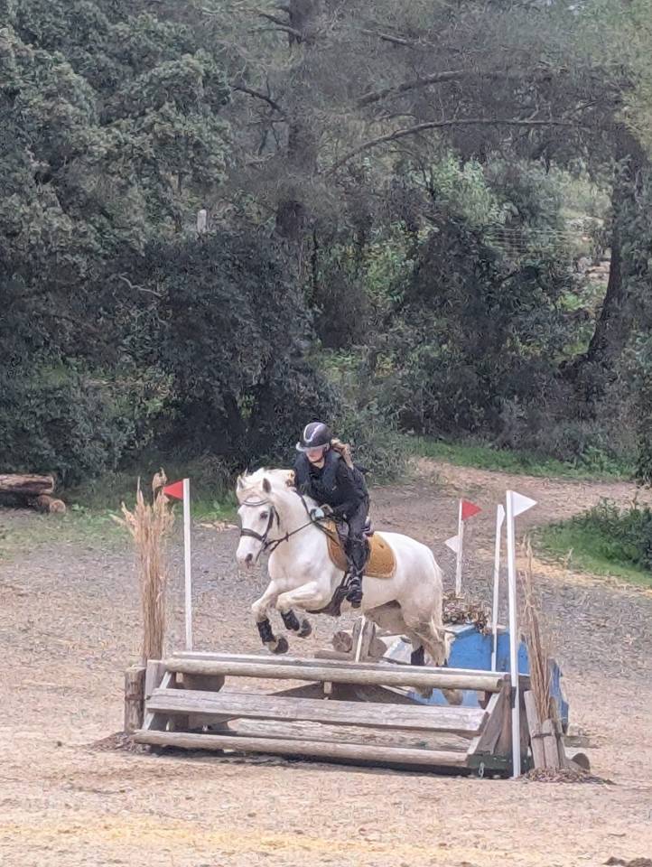 Ponette PFS 