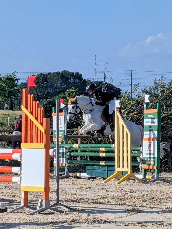 Ponette PFS 