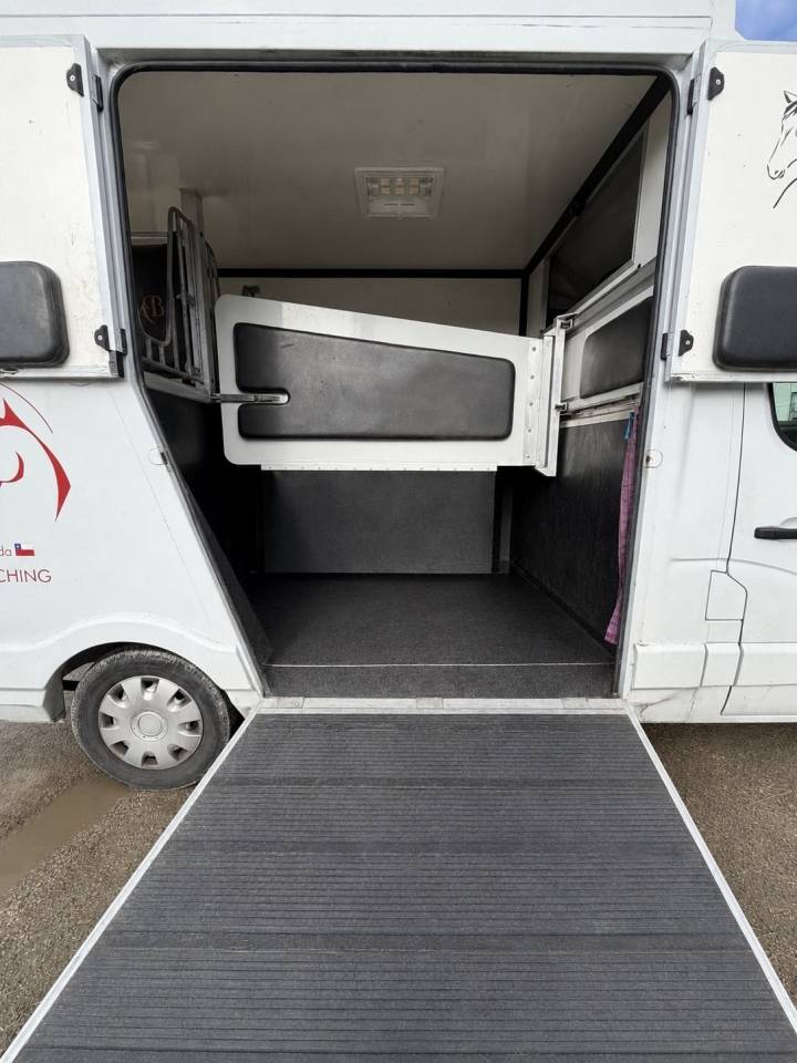Renault Master Camion Chevaux